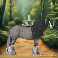 Horse Color:Grullo Roan Sabino Splash 