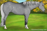 Horse Color:Silver Black Chinchilla