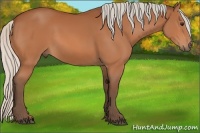 Horse Color:Silver Bay
