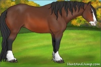 Horse Color:Brown Splash