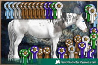 Horse Color:Grullo Sabino Splash Tobiano Rabicano 