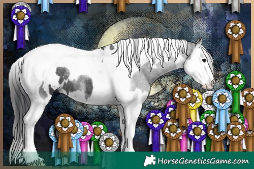 Horse Color:White Spotted Black Splash Tobiano Rabicano 