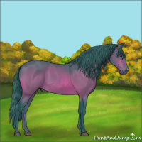 Horse Color:Watercolor Bay 