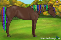 Horse Color:Gray Painted Chestnut 