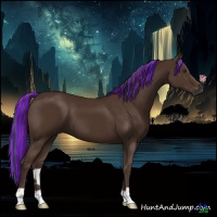 Horse Color:Gray Painted Chestnut 