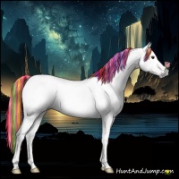 Horse Color:Gray Painted Chestnut 