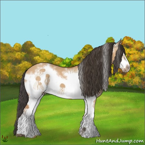 Horse Color:White Spotted Bay Dun Frame 