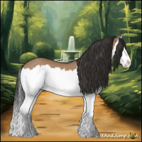 Horse Color:Bay Dun Splash 