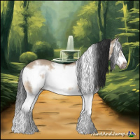 Horse Color:White Spotted Bay Dun Splash Frame 