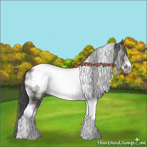 Horse Color:Grullo Sabino Tobiano Frame Appaloosa 