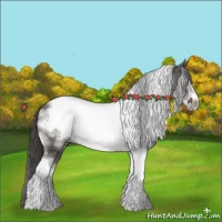 Horse Color:Grullo Sabino Tobiano Frame Appaloosa