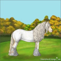 Horse Color:Palomino Dun Sabino Appaloosa Rabicano Brindle