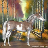 Horse Color:Liver Chestnut Mushroom Splash 