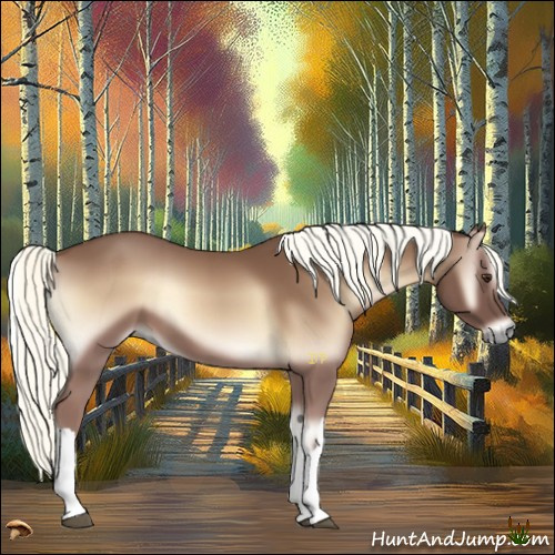 Horse Color:Red Onyx Mushroom 