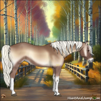 Horse Color:Red Onyx Mushroom 