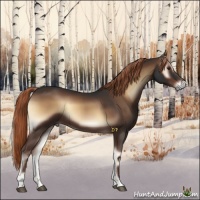 Horse Color:Liver Red Onyx