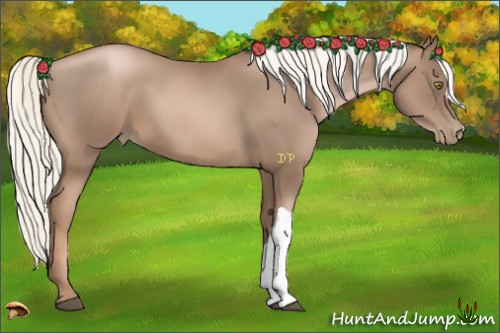 Horse Color:Liver Chestnut Pearl 