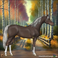 Horse Color:Liver Chestnut Mushroom 