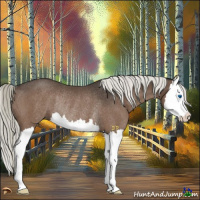 Horse Color:Liver Chestnut Mushroom Splash Rabicano