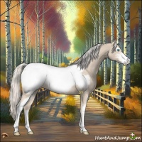 Horse Color:Cremello Mushroom Sabino Near Fewspot 