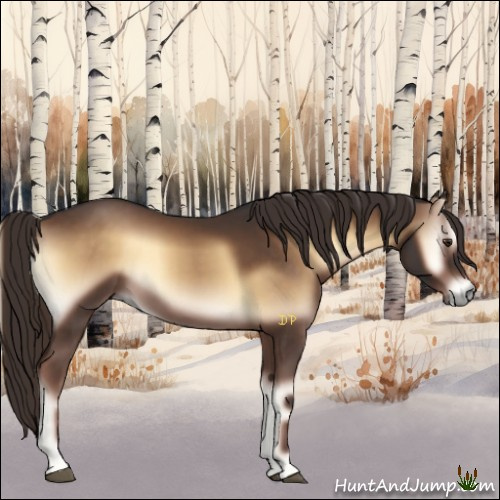 Horse Color:Liver Red Onyx 