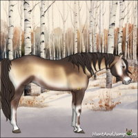 Horse Color:Liver Red Onyx 