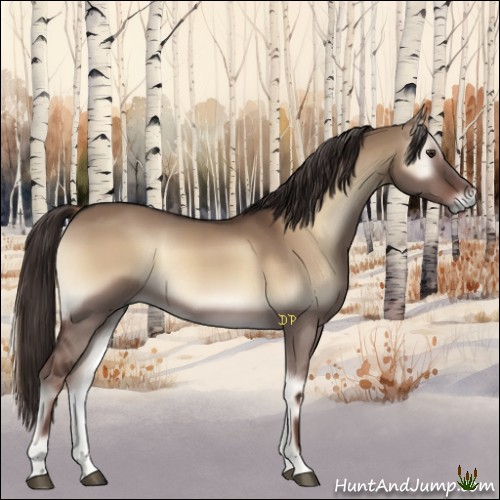 Horse Color:Liver Red Dun Onyx 