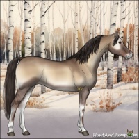 Horse Color:Liver Red Dun Onyx