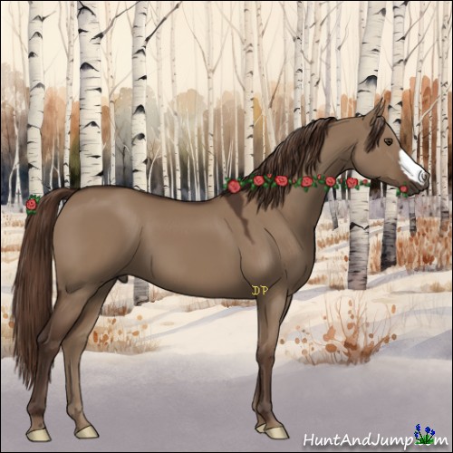 Horse Color:Liver Red Dun 