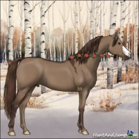 Horse Color:Liver Red Dun