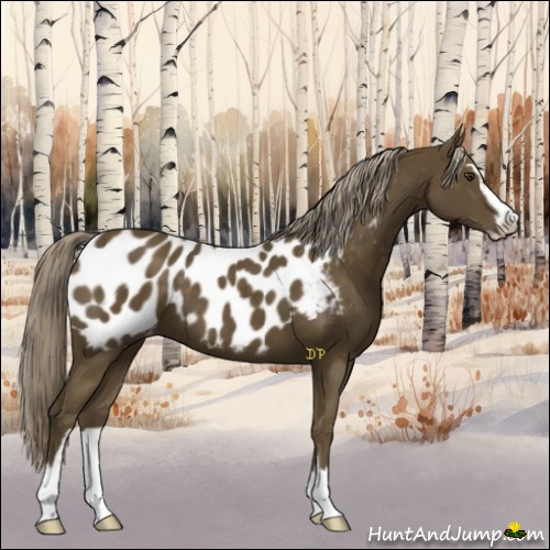 Horse Color:Chocolate Palomino Sabino Blanket 