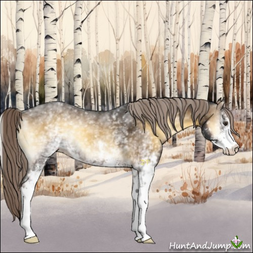 Horse Color:White Spotted Chocolate Palomino Onyx Sabino 