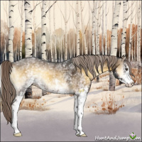 Horse Color:White Spotted Chocolate Palomino Onyx Sabino 