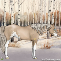 Horse Color:Chocolate Palomino Pearl Sabino 