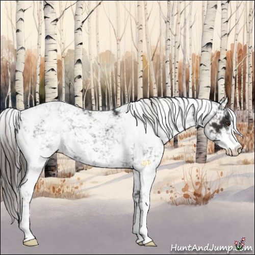 Horse Color:Liver Chestnut Sabino 