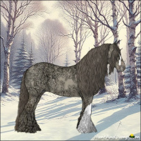 Horse Color:Amber Cream Champagne Ice Dun