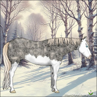 Horse Color:Perlino Ice Roan Splash 