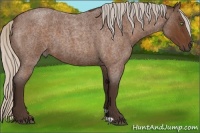 Horse Color:Silver Buckskin Roan 