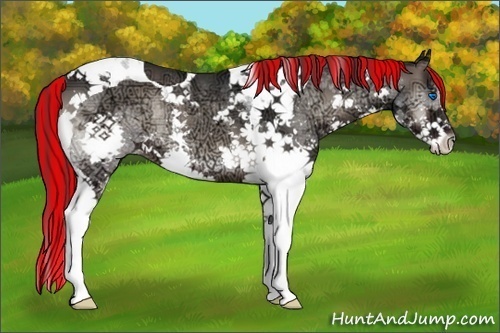 Horse Color:Painted Blue Onyx Ice Splash Tobiano Rabicano 