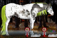 Horse Color:Painted Blue Onyx Ice Sabino Splash Tobiano Appaloosa 