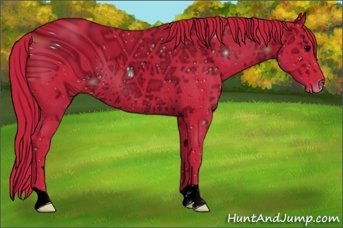 Horse Color:ERROR: UNKNOWN ANOMALY