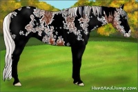 Horse Color:White Spotted Silver Bay Ice 