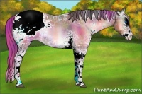 Horse Color:Nacre White Spotted Brown Ice Onyx Sabino Splash Snowcap 