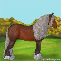 Horse Color:Silver Brown