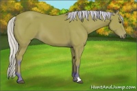 Horse Color:Watercolor Silver Brown 