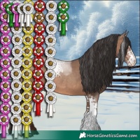 Horse Color:White Spotted Sable Champagne Sabino 