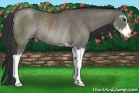 Horse Color:Grullo Sabino Rabicano 