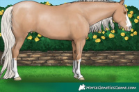Horse Color:Silver Black Pearl 