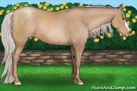 Horse Color:Silver Black Pearl 