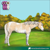 Horse Color:Silver Classic Cream Champagne Ice Sabino Tobiano